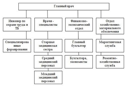 Structura cadru este o instituție medicală într-un mediu concurențial