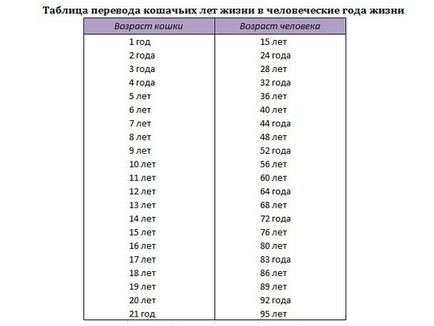 Care este durata medie de viață a pisicilor la domiciliu