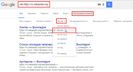Cum de a verifica rapid indexarea unui site în Google și Yandex