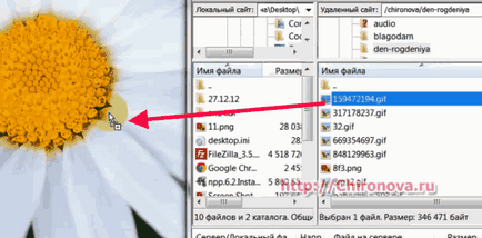 Cât de repede încărcați fișiere în găzduirea și înapoi prin ftp- client FileZilla - tehnologia Internet