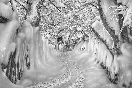 Cum de a fotografia zăpadă de iarnă îmblânzit și îngheț> Fotografie digitala
