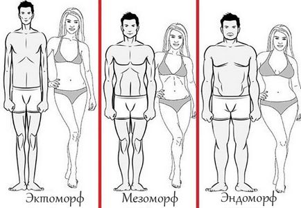Care sunt diferitele tipuri ale corpului și caracteristicile lor