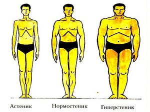 Care sunt diferitele tipuri ale corpului și caracteristicile lor