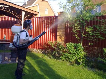 Cum de a scăpa de țânțari în cabana de vară, și cel mai bun remediu pentru muscatura cu instrucțiuni de utilizare