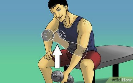 Cum de a construi musculare