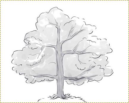 Cum de a desena un copac