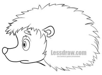 Cum de a desena un arici în etape, lessdraw