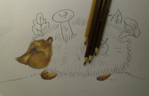 Cum de a desena un arici, trage treptat în creion, copilul meu