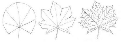 Cum de a desena o frunză