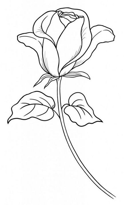 Cum de a desena un trandafir treptat creion