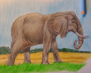 Cum de a desena un elefant, trage treptat în creion, copilul meu