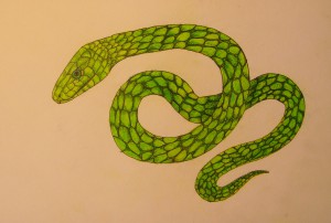 Cum de a desena un șarpe, trage treptat în creion, copilul meu