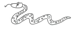 Cum de a desena un șarpe trage desene simple