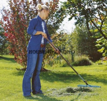 Cum să curețe mizeria în curtea instrucțiuni pas cu pas, sfaturi practice și recomandări (ordinea) Cum să curețe mizeria în curtea instrucțiuni pas cu pas, sfaturi practice și recomandări