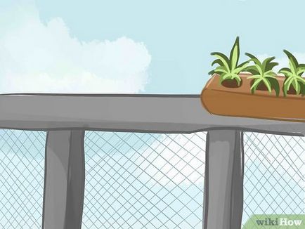 Cum de a asigura un balcon pentru pisici
