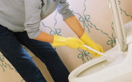 Cum pentru a curăța vasul de toaletă pe piatră urinară
