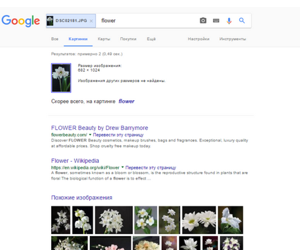 Cum de a determina numele plantei dintr-o fotografie sau printr-un program de pe Internet