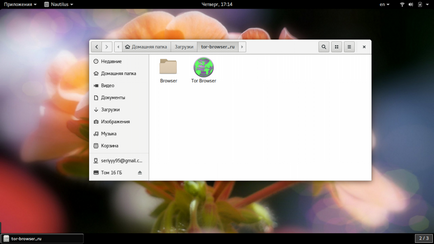 Cum să utilizați browser-ul tor, losst (losst) Cum să utilizați browser-ul tor, losst
