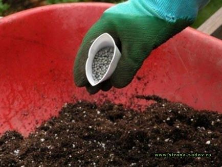 Cum de a fertiliza solul
