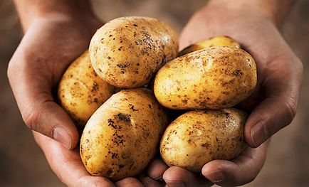 Cum de a găti cartofi piure