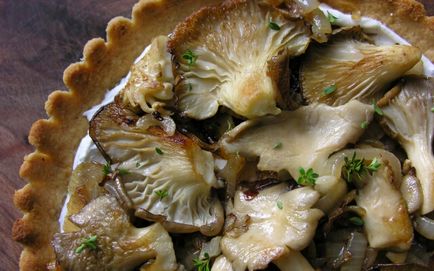 Cum de a găti rețete ciuperci stridii 7
