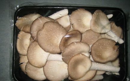 Cum de a găti rețete ciuperci stridii 7