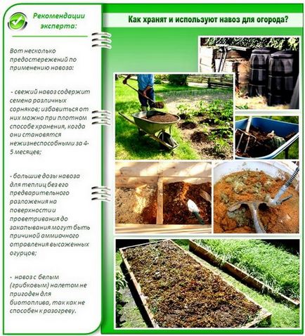 Cum se utilizează îngrășăminte naturale, modul de utilizare a gunoiului de grajd de cal