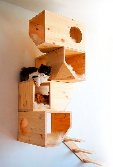 Cum sa faci o casa pentru pisica cu mâinile proprii, creatiile sale originale și idei mari și case mici