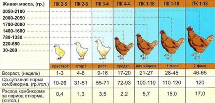 Cum de a face pentru hrana puilor de carne cu compoziția mâinilor