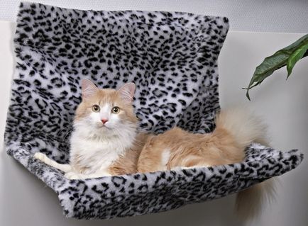 Cum sa faci o canapea pentru pisica cu mâinile (55 poze) lager de la un pulover vechi, comandantul bateriei