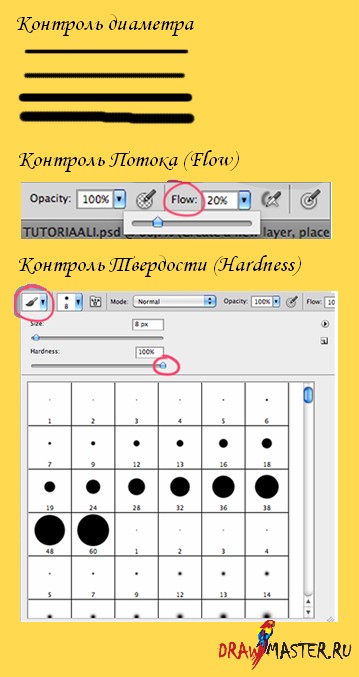 Ea a creat o imagine a „vise luminoase“ (schiță) Ea a creat o imagine a „vise luminoase“