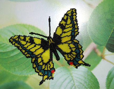 Cum de a țese un șirag de mărgele papilionidae - master class, dulce casă - mână a făcut meserii și idei