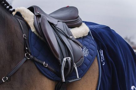 Cum să coase o saddlecloth și șa-pătură pentru un cal cu propriile sale mâini