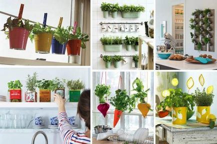 Cum de a decora bucătărie idei decor originale cu fotografie (foto) Cum de a decora ideile bucătărie decor original, cu fotografii