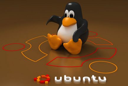 Cum se instalează Linux lângă ferestrele de pe același computer