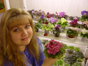 Cum să crească violete specii de camere, normele de îngrijire și de reproducere, plantarea la domiciliu