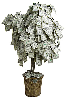 Cum să crească un copac bani și cum să aibă grijă de ei