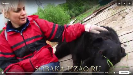 Am devenit un autor voluntar Nina Korotkaya, un adăpost pentru animale fără adăpost YUZAO