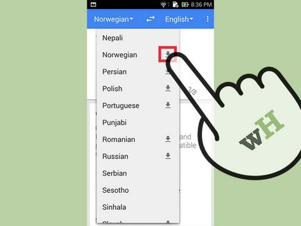 Cum de a descărca un pachet lingvistic pentru a fi utilizat într-un mod offline, Google Translate pe bază androjda