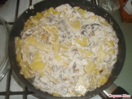 Cartofi cu ciuperci în sos cremă de brânză - acasă Mamele