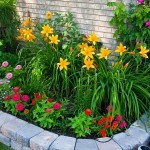 Flowerbeds în grădină (45 poze) caracteristici frumoase, garduri, idei, fotografii și videoclipuri
