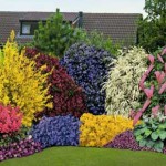 Flowerbeds în grădină (45 poze) caracteristici frumoase, garduri, idei, fotografii și videoclipuri