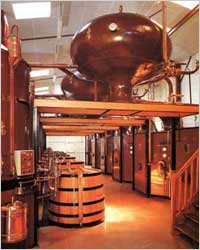 Istoria cognac, tehnologie (cum face coniac) Istoria cognac, tehnologie