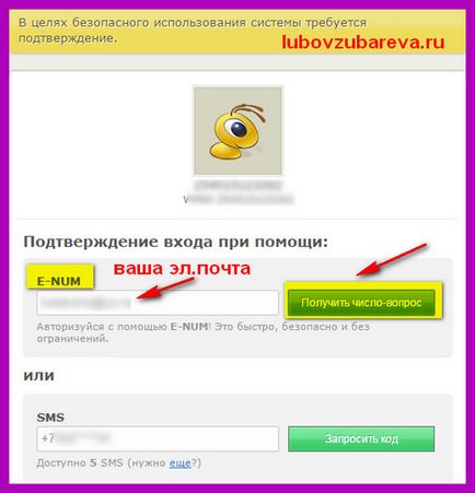 pungă WebMoney (WebMoney) serviciu de conectare e-num, confirmați operațiunea, pe blog-ul Lyubovi Zubarevoy