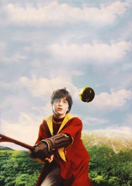 Quidditch - este