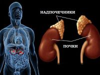 Tratamentul remedii populare suprarenale la domiciliu