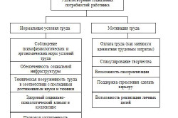 Personalul de linie etapele de selectare a personalului de linie, de ce apar o căutare pentru astfel de lucrători