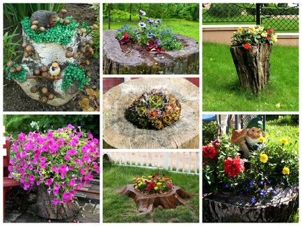 Cele mai bune idei pentru grădină, cu o descriere și fotografie
