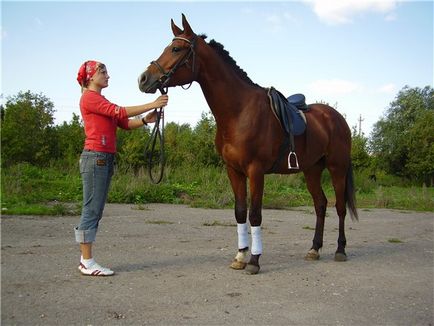 Metode și direcții de cai de reproducție