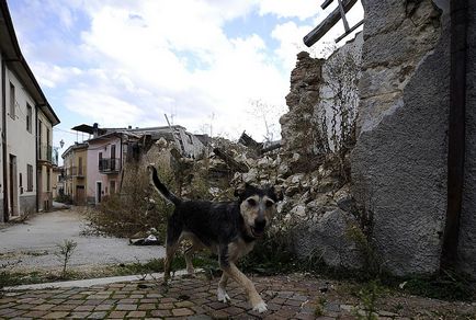 O lume fără oameni, știri fotografie